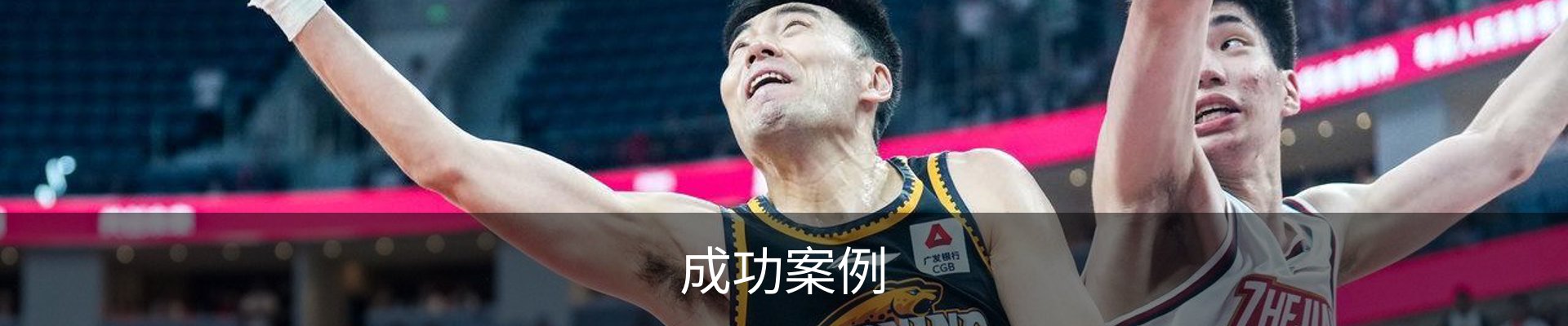 成功案例